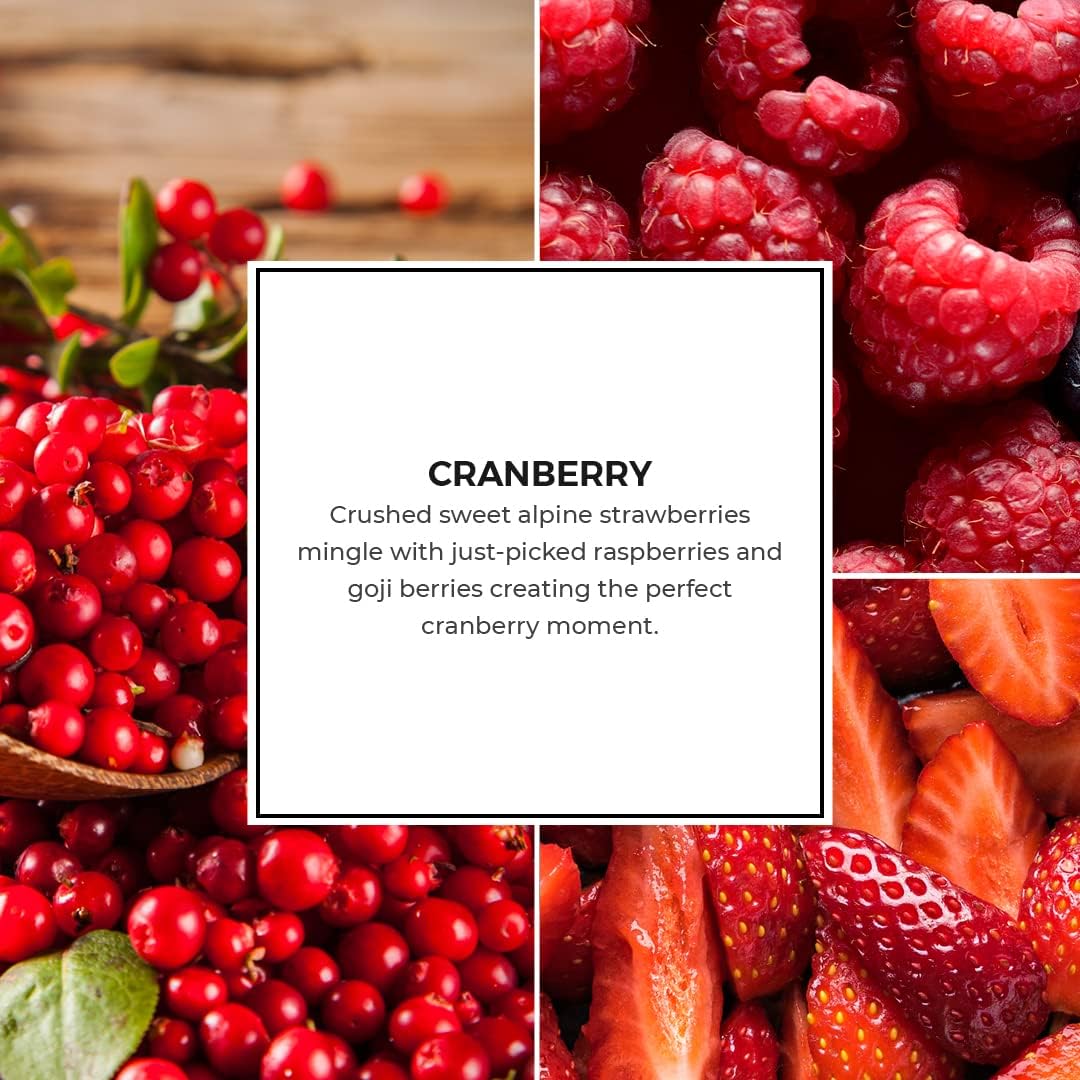 PartyLite Cranberry Scent Plus® Wax Melts - Lasts Up to 60 Hours - Sweet Strawberry, Raspberry & Goji Berry Blend