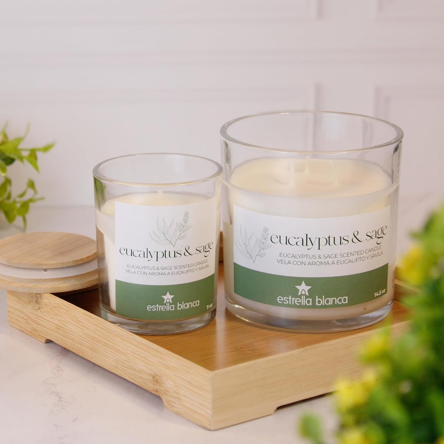 Eucalyptus Sage Scented Candles, 14.5 oz 3 Wick Candle, Large Jar, Long Lasting Burn, Fresh Herbal Aroma for Relaxation, Spa, Home Décor, Living Room, Bedroom, or Gift