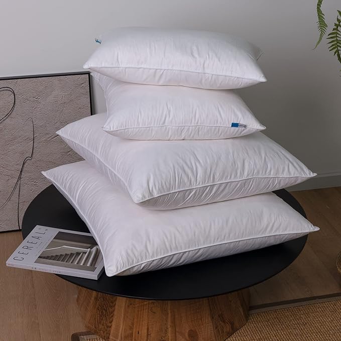 18"x18" Pillow Inserts Soft Feather Pillow Set of 2 Indoor Decorative Sofa Down Pillows Bed Pillows Couch Pillow