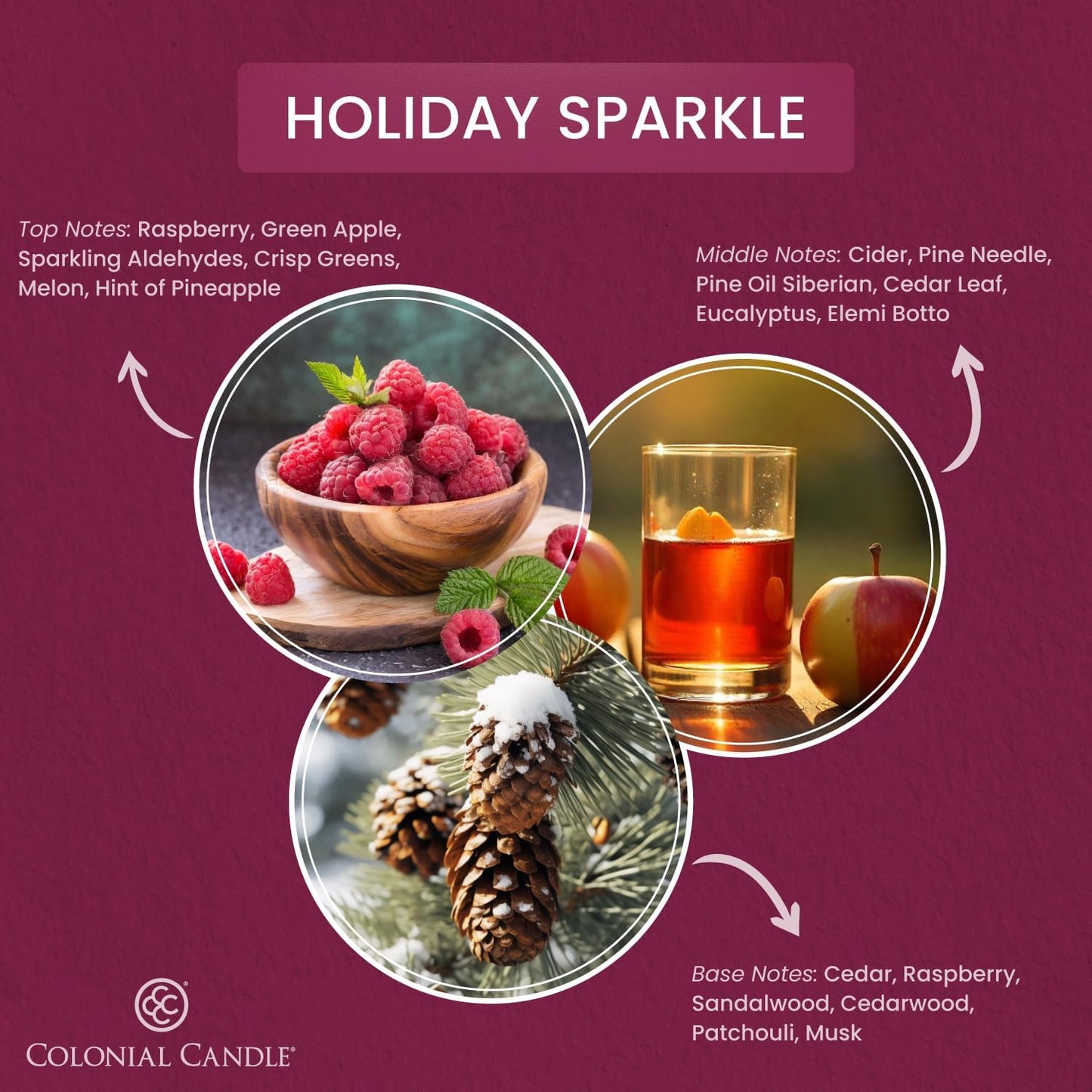 Colonial Candle Holiday Sparkle Scented Wax Melts, Wax Melt Warmer Cubes, Long Lasting Scented Wax Warmer Cubes, 4 Pack, 6 Cubes Each - Made in The USA