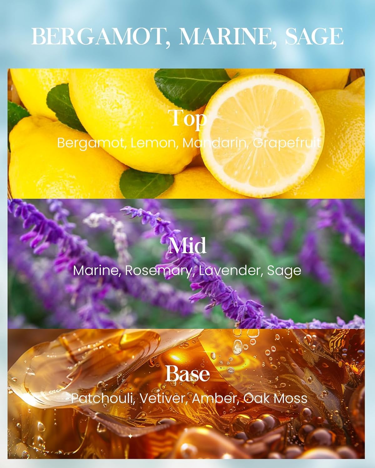 M&SENSE Ocean Waters Scented Candles Summer Soy Candle,Beach Candle for Stress Relief Meditation Relaxing, Housewarming Gifts for Women Men, 11.3oz 70 Hour Long Burning