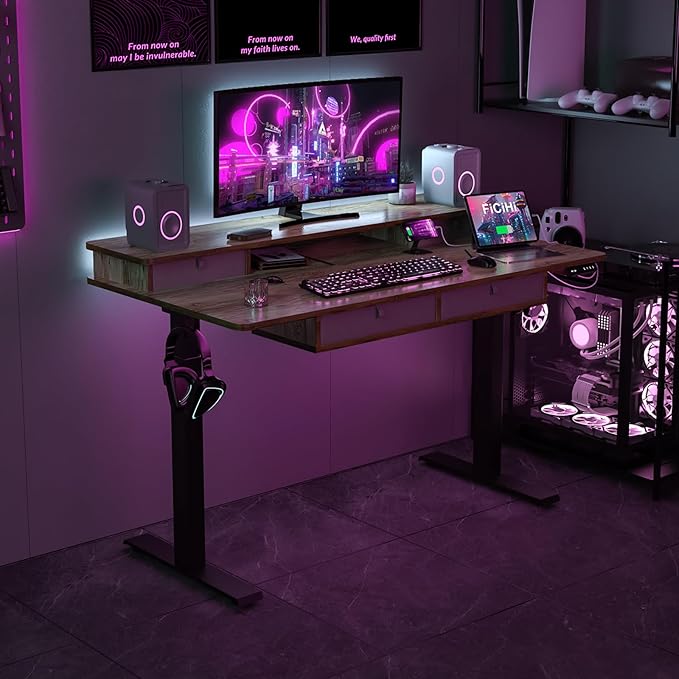 Adjustable Height Standing Desk with 4 Drawers,55 x 30 inches Electric Sit Stand Desk for Home Office,3 Memory Presets,Monitor Stand Riser,USB A/C Charging Port