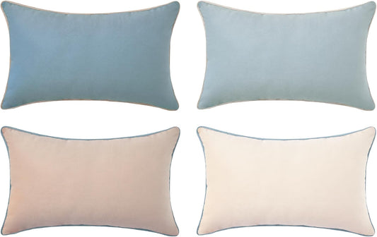 MONDAY MOOSE Decorative Throw Pillow Covers Cushion Cases, Set of 4 Soft Velvet Modern Double-Sided Designs, Mix and Match for Home Decor, Pillow Inserts Not Included (12x20 inch, Beige/Light Blue)