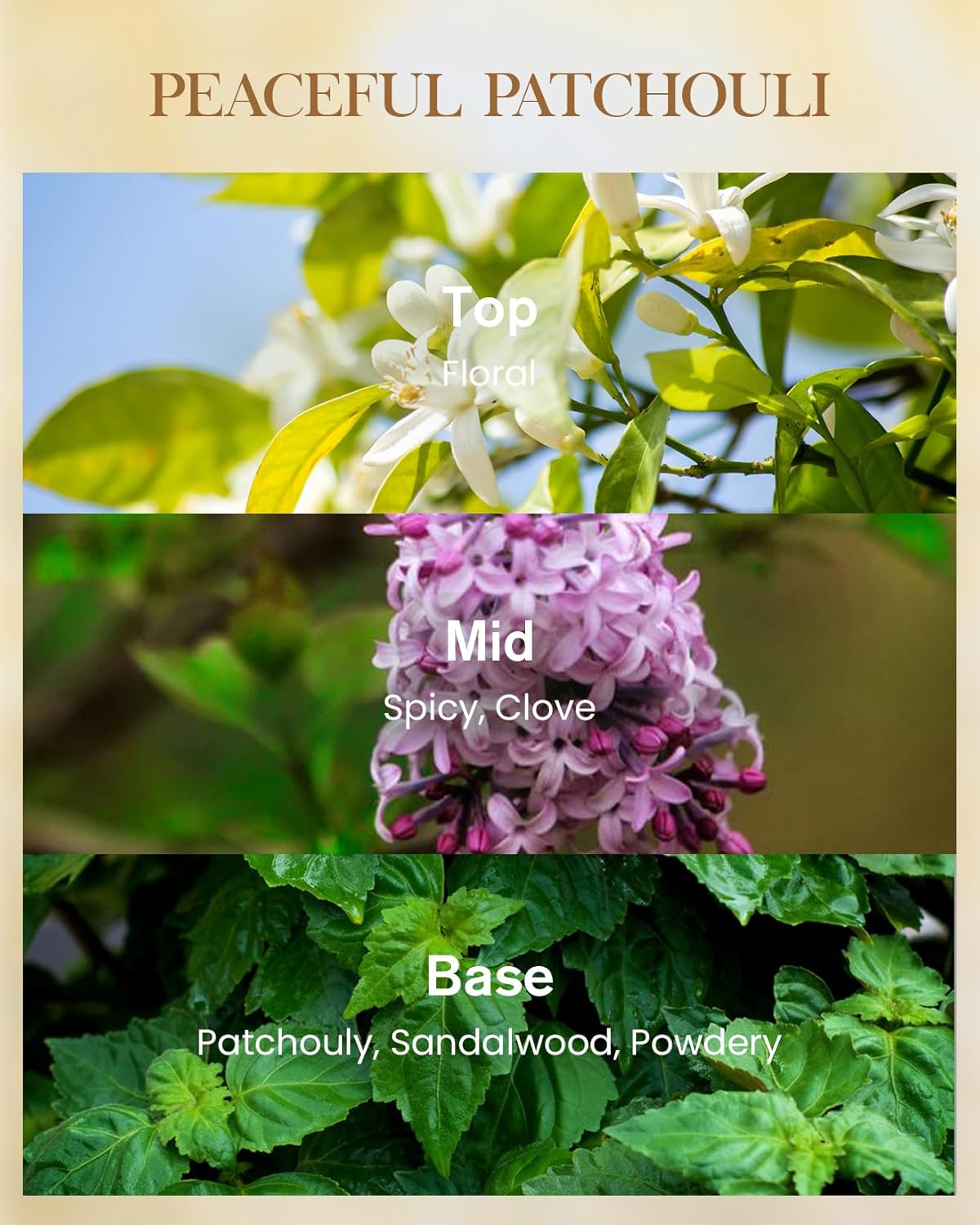 M&SENSE Peaceful Patchouli Scented Candle 35oz 150H Burn Time Long Lasting, 3-Wick Natural Aromatherapy Candle Highly Scented, Home Fragrance Housewarming Gifts