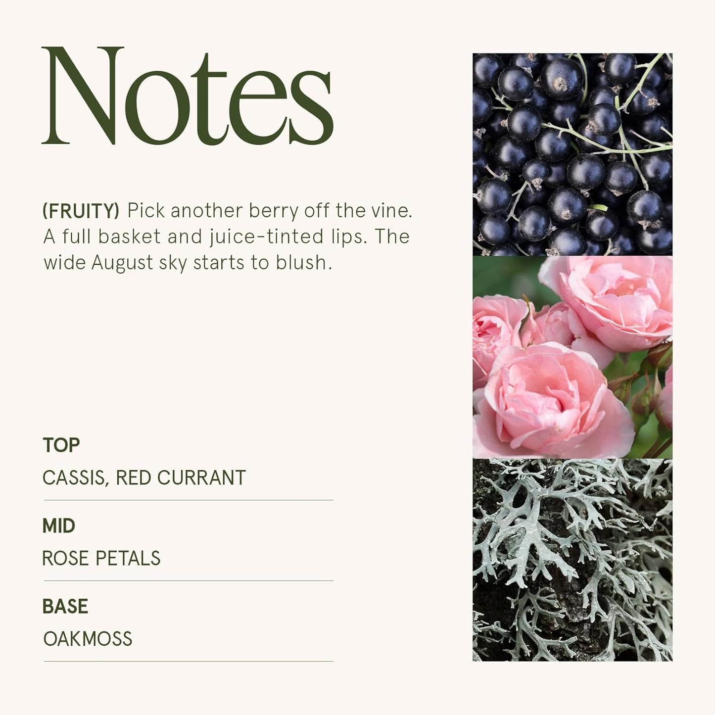 LA JOLIE MUSE Hey Baies Candles - Red Currant, Rose, Oakmoss | 6 oz Natural Soy Wax | 40 Hours Clean Burn | Berry Scented Candle | Gift-Ready for Hosts & Gatherings