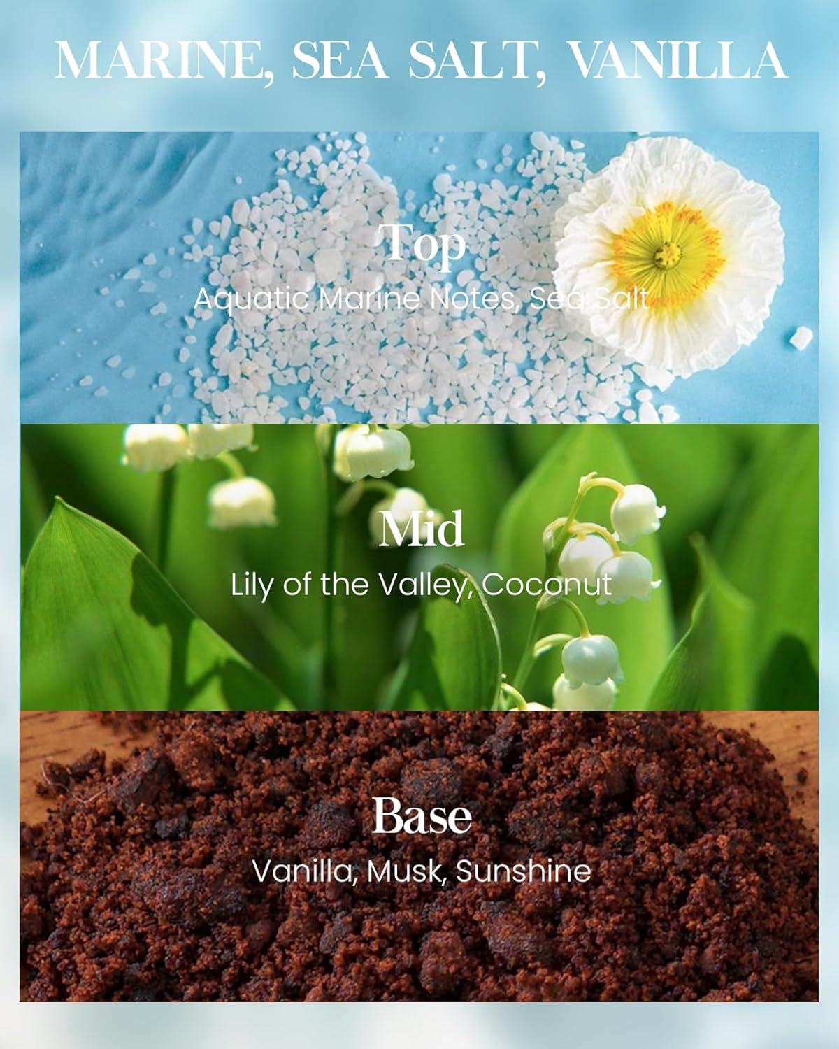 M&SENSE Sea Salt Vanilla Beach Scented Candles, Coastal Soy Candle, Summer Candle for Stress Relief Meditation Relaxing, Housewarming Gifts for Women Men, 11.3oz 70 Hour Long Burning