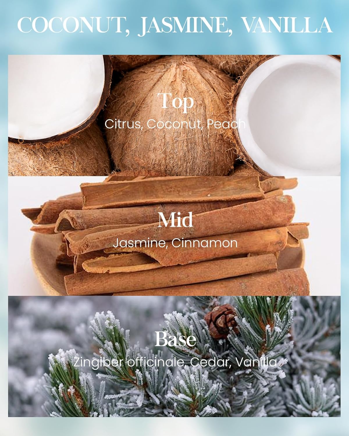 M&SENSE Coconut Beach Scented Candles Large Summer Candle, Natural Soy Candles 21.2oz Beach Candle,Aromatherapy Candle for Stress Relief Meditation Relaxing