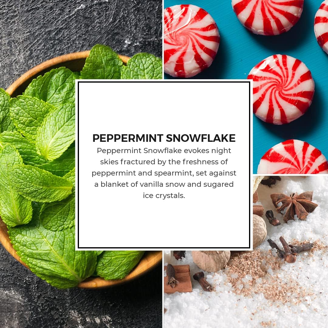 PartyLite Peppermint Snowflake Scent Plus® Melts | 60-Hour Fragrance | Peppermint & Vanilla Blend | Flameless Wax Melts