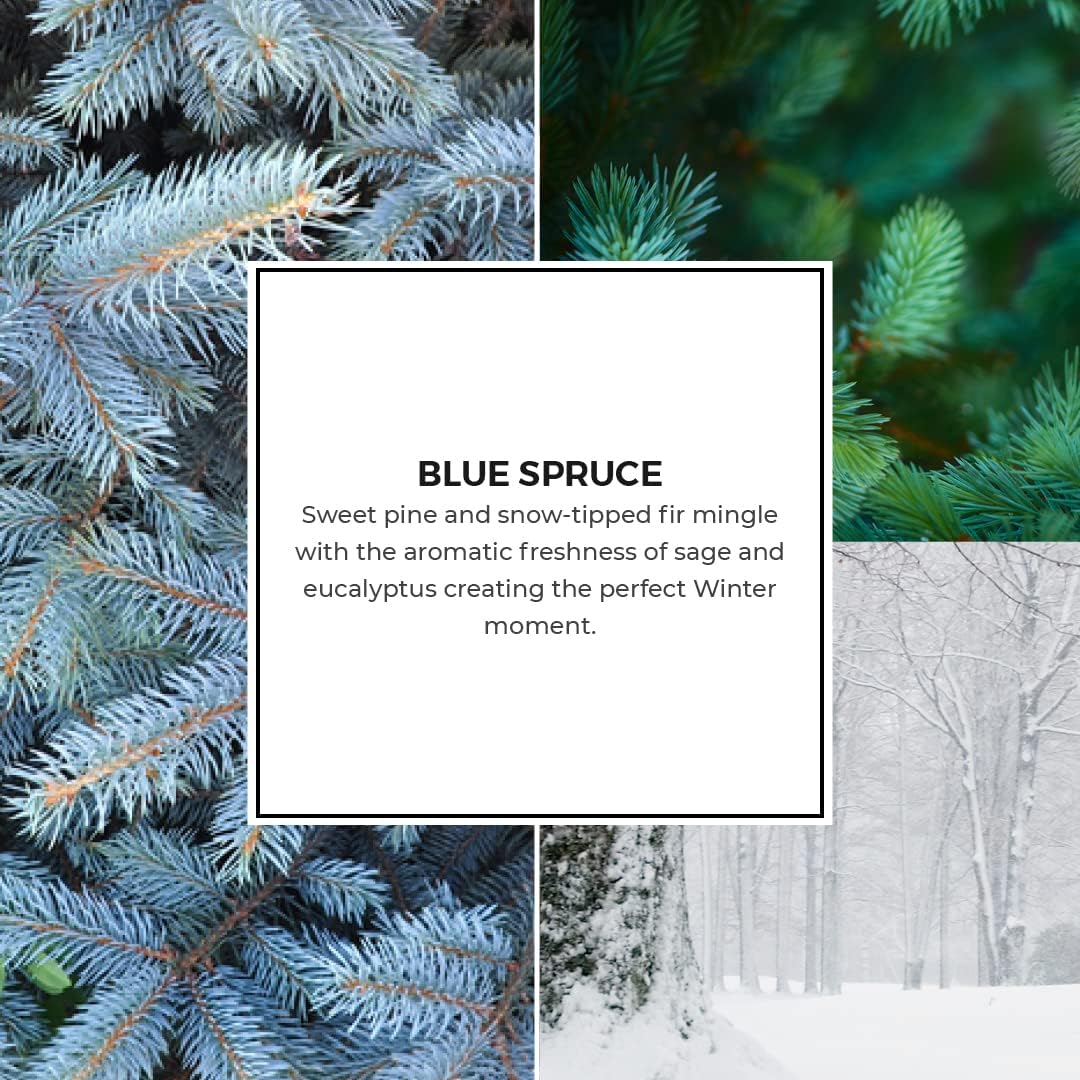 PartyLite Blue Spruce Wax Melts - 9 Scented Cubes for Up to 60 Hours of Long-Lasting Fragrance | Flame-Free Home Fragrance Solution