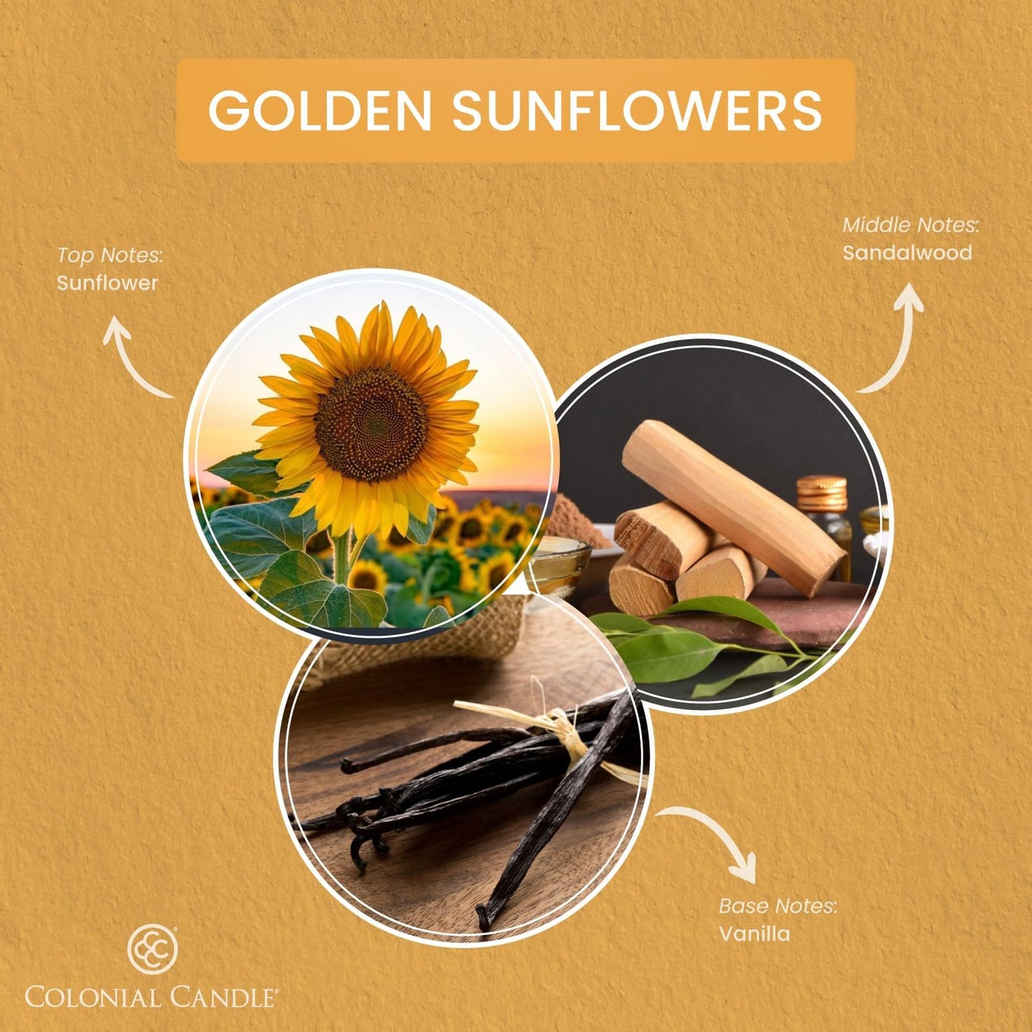 Colonial Candle Golden Sunflowers Scented Jar Candle, Pop of Color Collection, 3 Wick, 14.5 oz - Up to 60 Hours Burn