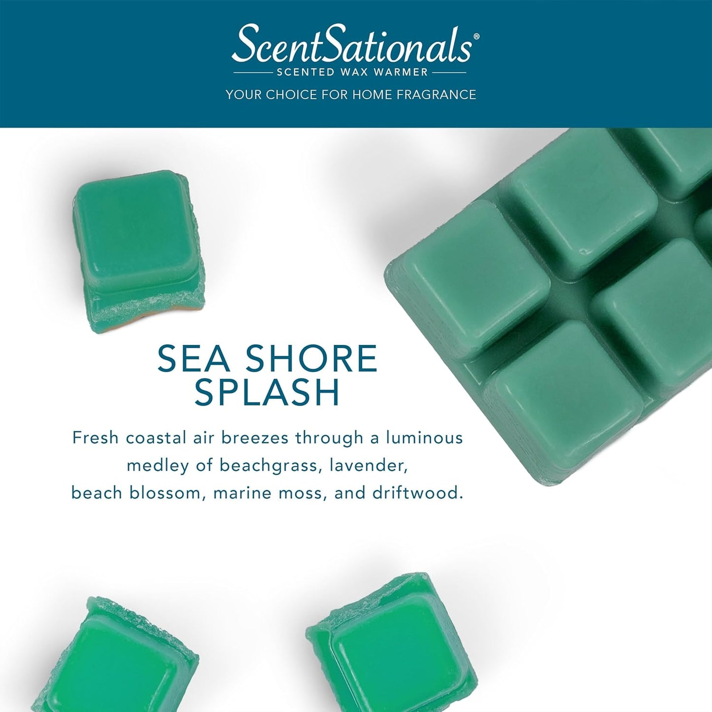 Scentsationals Wax Melts, Wax Cubes Strong Scent - Seashore Splash - Long Lasting Scented Wax Melts for Warmer, 10oz (24-Cubes)