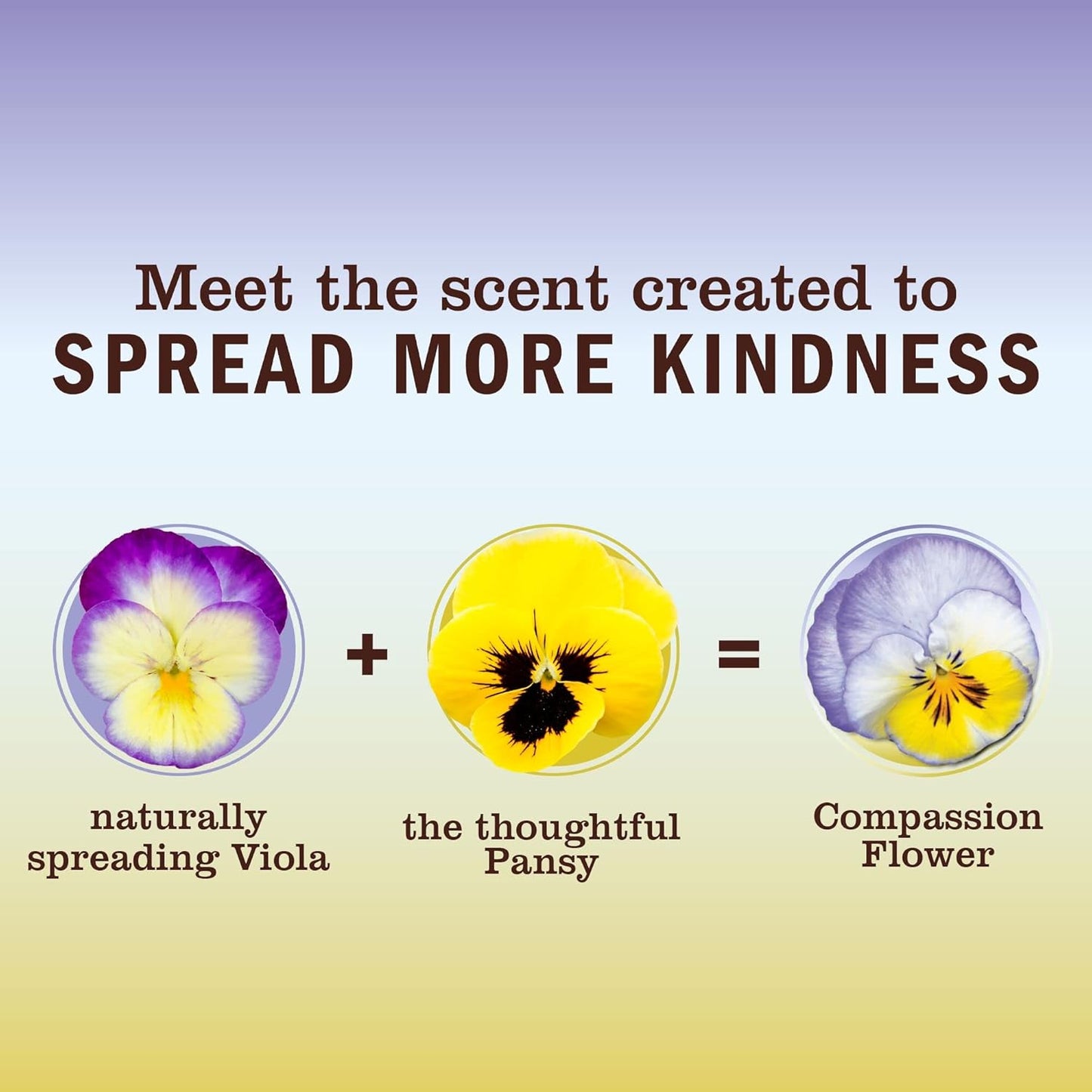 Mrs. MEYER'S CLEAN DAY Liquid Dish Soap, Biodegradable Formula, Compassion Flower, 16 fl. oz - Pack of 3