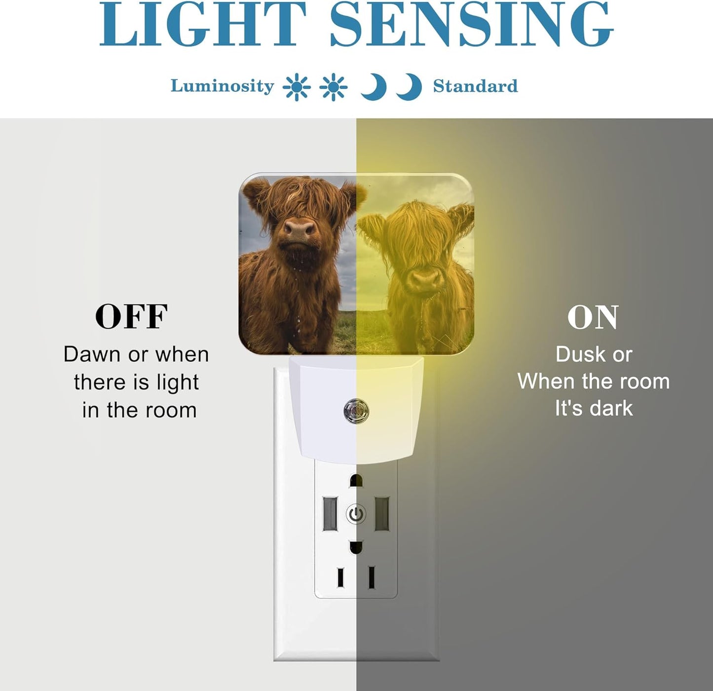 Highland Cows Plug in Night Lights, Cute Highland Cows Nightlight Plug Into Wall Dusk to Dawn Sensor for Kid Girls Boys Women Men Bedroom, Hallway, Kitchen, Bathroom, Stairs Decor