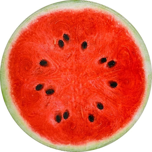 Vessia Watermelon Printed Throw Blanket, 60 inches Realistic Funny Round Food Blanket for Adults and Kids, 300GSM Novelty Fruits Throw for Couch, Sofa, Bed, Fun Home Decor for All Seasons