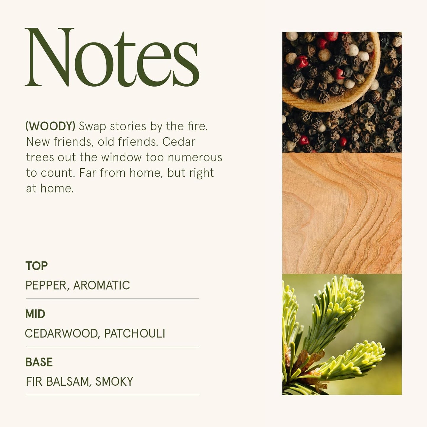 LA JOLIE MUSE Christmas Candles, Starlit Golden Fir Candle - Cedarwood, Patchouli, Fir Balsam | 10 oz Natural Soy Wax | 55 Hours Clean Burn |Winter Holiday Gift | Gift-Ready for Hosts & Gatherings