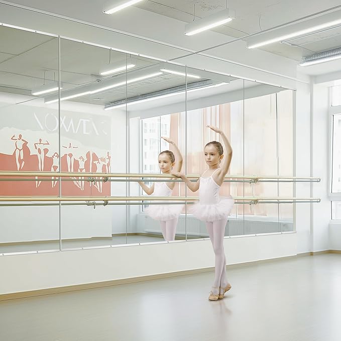 Home Gym Mirror for Wall, Mirror Full Length,56x28x2PCS,Glass Frameless Body Large Mirror for Home Gym, Workout,Bedroom, Garage(Silver)