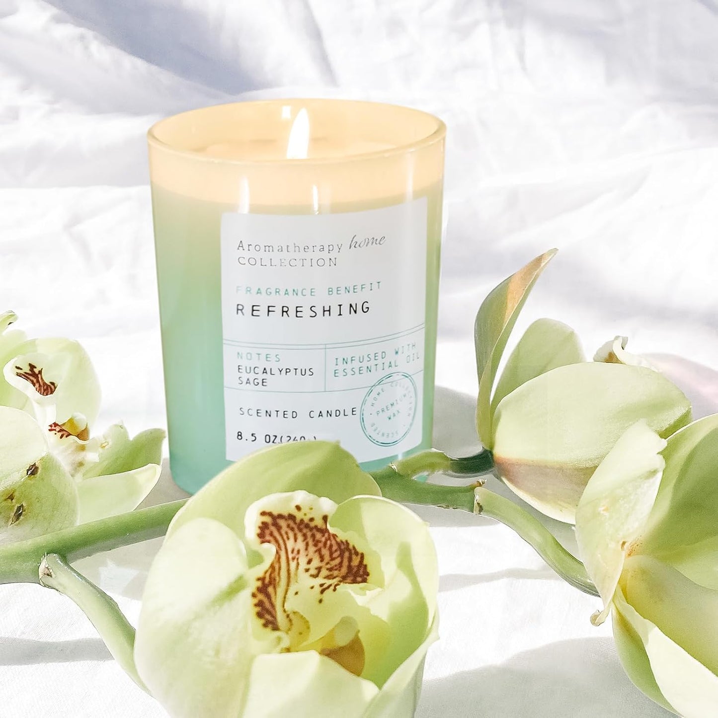 Eucalyptus Candle, Eucalyptus & Sage Scented Candles,Soy Wax Green Candles for Home Scented,Candle Gift for Women Men,8.5oz