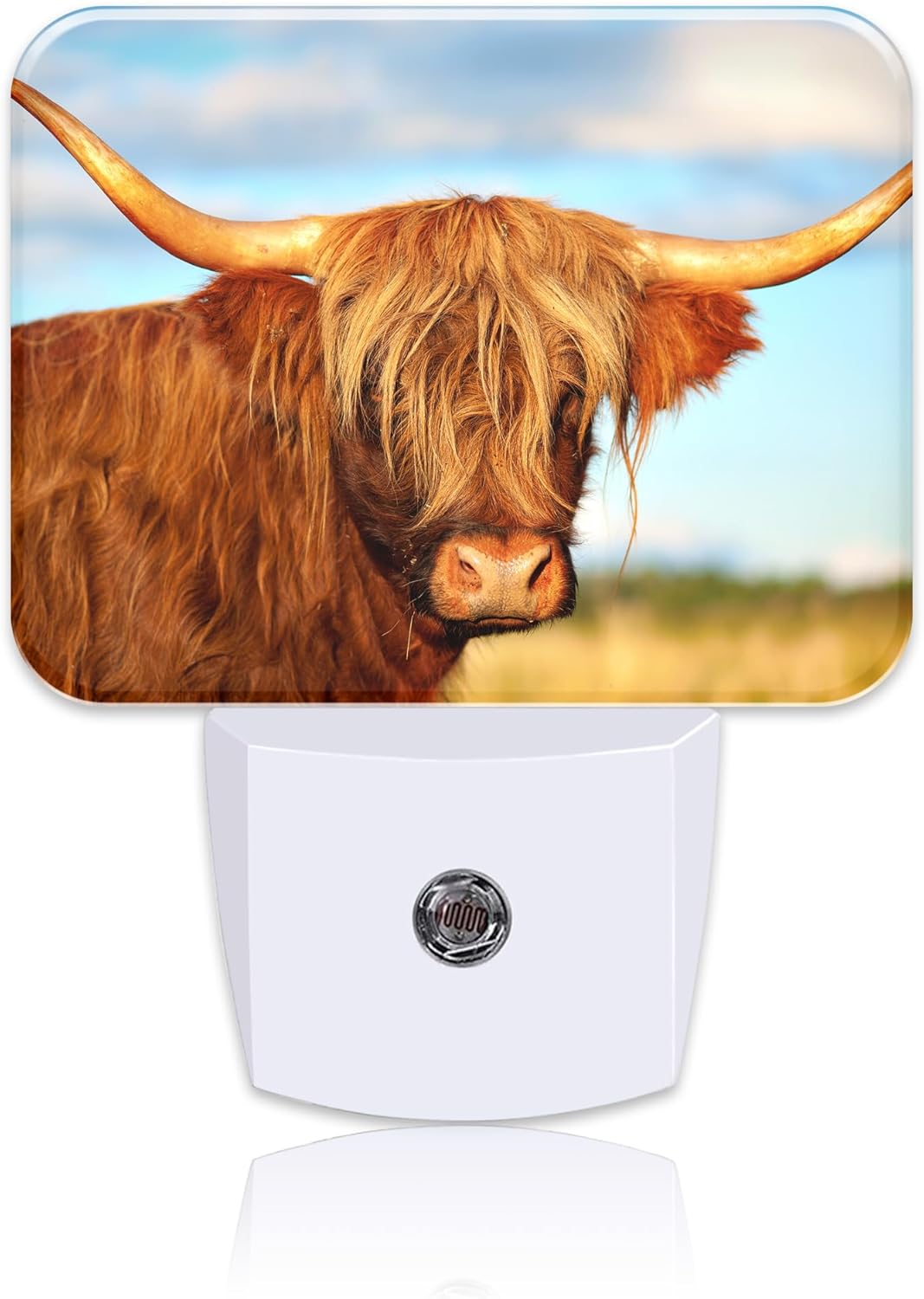 Highland Cow in Field Night Light Plug into Wall, Cool Highland Cow Night Light with Dusk to Dawn Sensor for Kid Girls Boys Women Men Bedroom, Hallway, Kitchen, Bathroom, Stairs Decor
