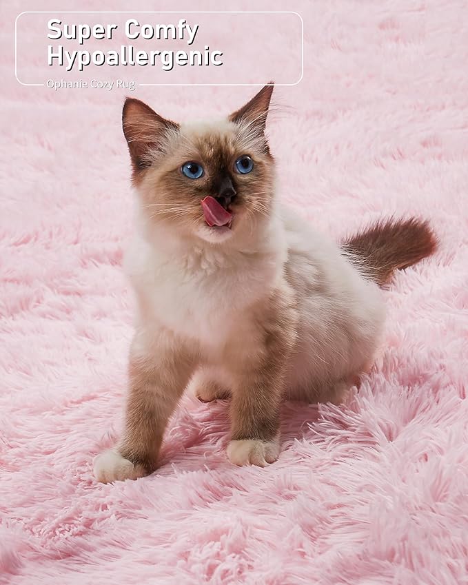 Ophanie 5x8 Light Pink Rugs for Living Room, Fluffy Fuzzy Plush Shag Comfy Soft Large Area Rug, Non-Slip Indoor Floor Carpet for Kids Boys Girls, Bedroom, Playroom, Home Decor Aesthetic, Nursery