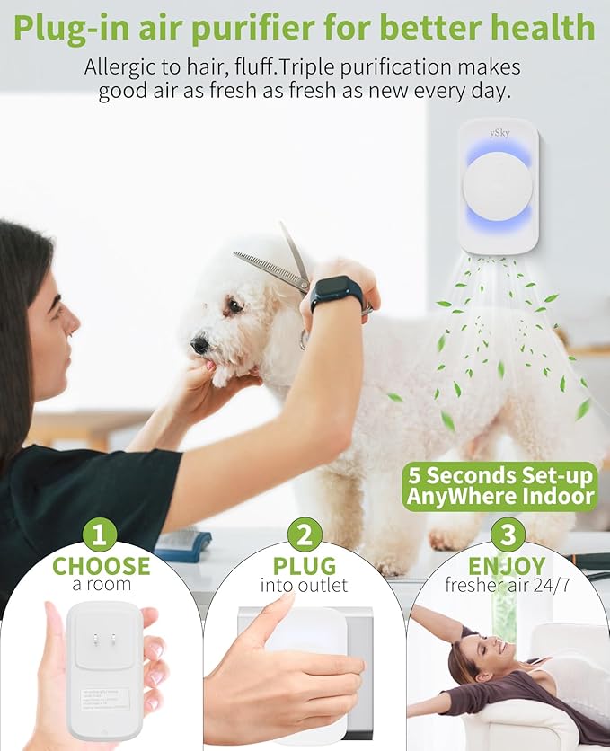 ySky Plug In Air Purifier for Home (6 packs), Negative Ion Air purifier,Quiet Ionizers Air Freshener for home,Bathroom,Bedroom,Portable Air Purifiers for Odor,Pet smell,Mini Air ionizers