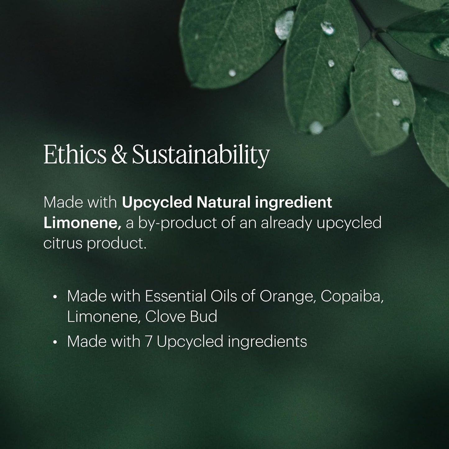 Aera Mini Rose - Essential Oil for Home - Fresh and Sensuous Fragrance - Notes of Himalayan Rose, Linden and Peony - Scent Refill - Capsule Size Works with Mini Diffuser