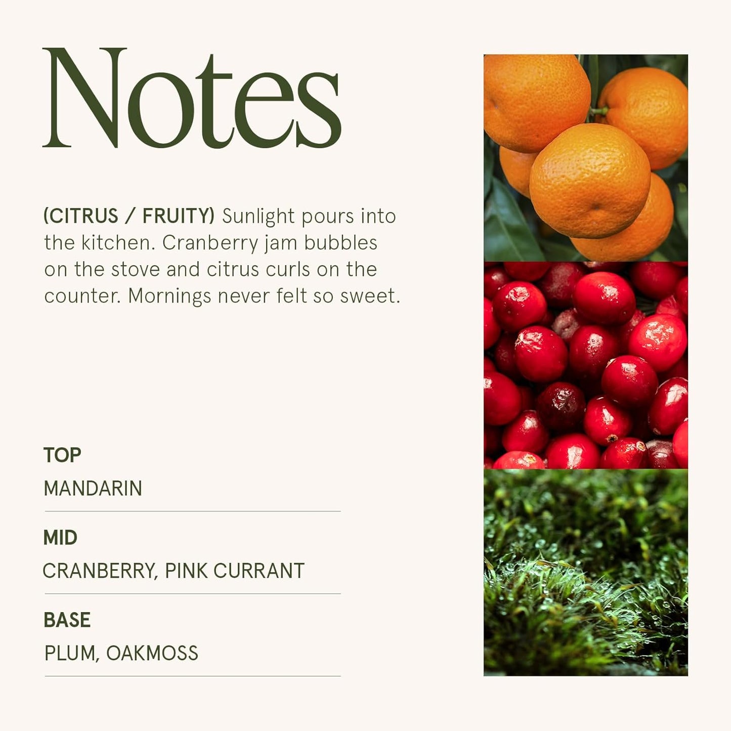 LA JOLIE MUSE Ruby Berry Bliss Scented Candle – Mandarin, Cranberry & Plum| Natural Soy Wax | 10 oz Festive Christmas Candle | 55 Hours Clean Burn | Autumn House Warming Gift | Seasonal Home Décor