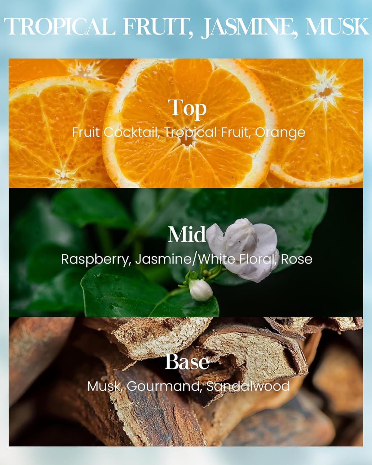 M&SENSE Summer Candles for Home Beach Soy Candle, Beach Candles for Stress Relief Meditation Relaxing, Housewarming Gifts for Women Men, 11.3oz 70 Hour Long Burning