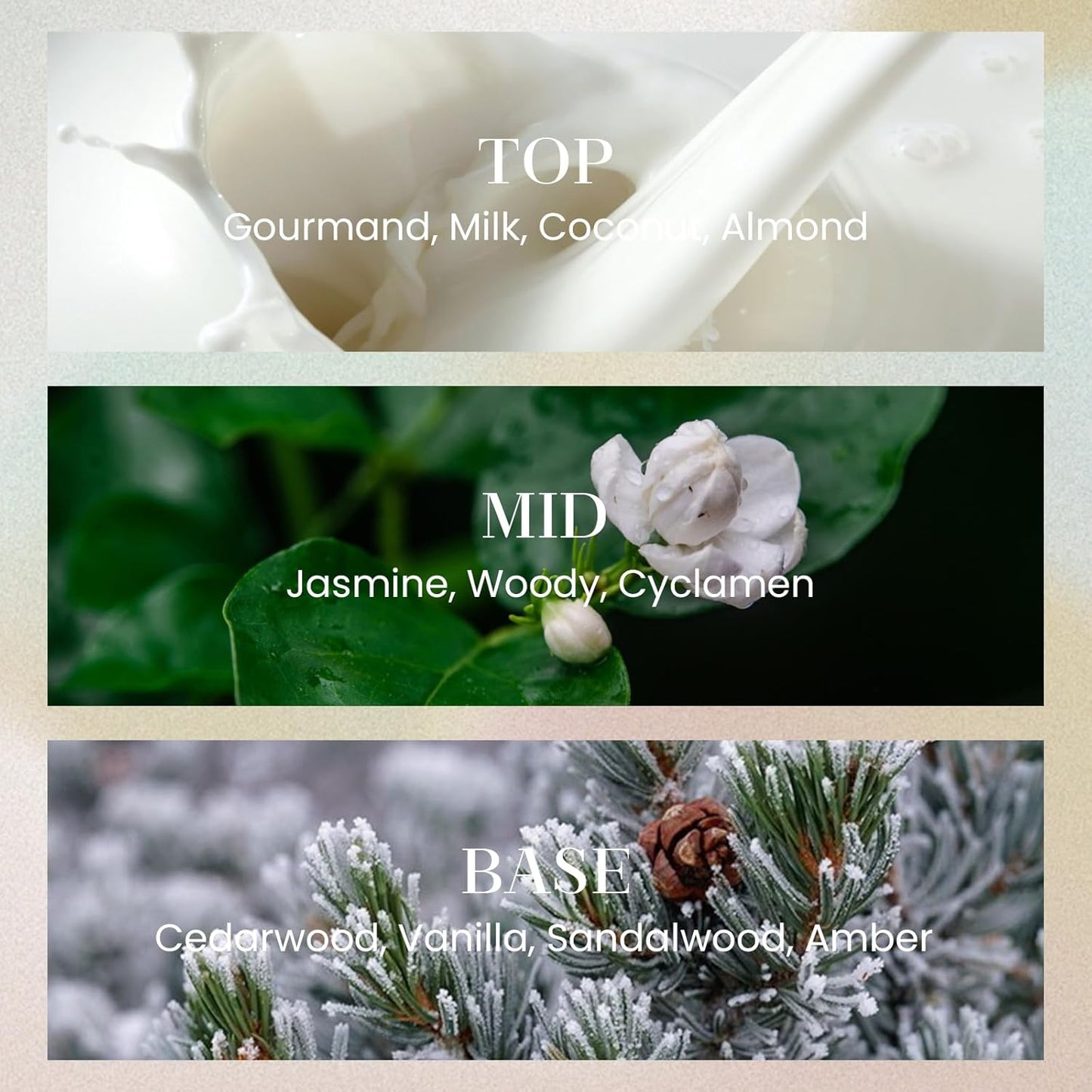 M&SENSE 6.3 oz Large Reed Diffuser Set | Cashmere Cloud Scent Oil Diffuser with Sticks | Hotel Collection Non-Toxic Essential Oil |for Bedroom Bathroom Living Room