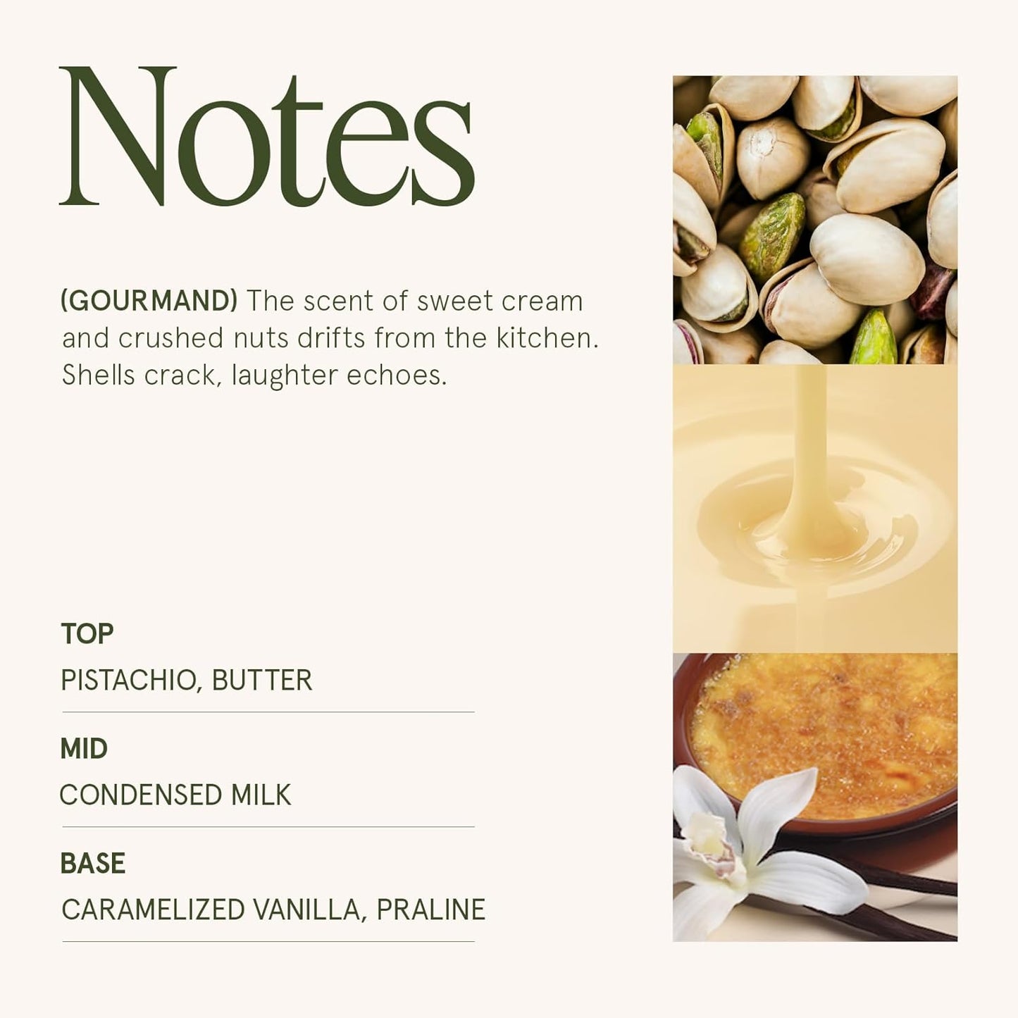 LA JOLIE MUSE Pistachio Macaron Scented Candle –Pistachio, Milk & Vanilla | 6 oz Fall Candle | Natural Soy Wax | 40 Hours Clean Burn | Gift for Dessert Lovers | Seasonal Home Décor