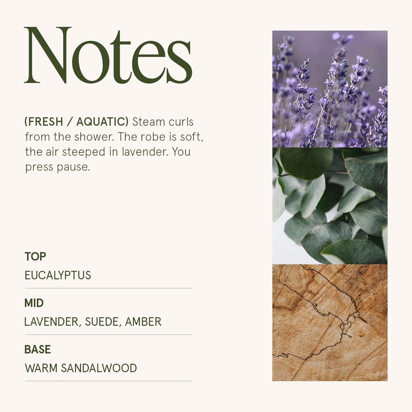 LA JOLIE MUSE Lavender Suede Candle - Lavender, Eucalyptus, Sandalwood | 10 oz Natural Soy Wax | 55 Hours Clean Burn | Aromatherapy Candle | Perfect for Relaxation, Self-Care and Meditation