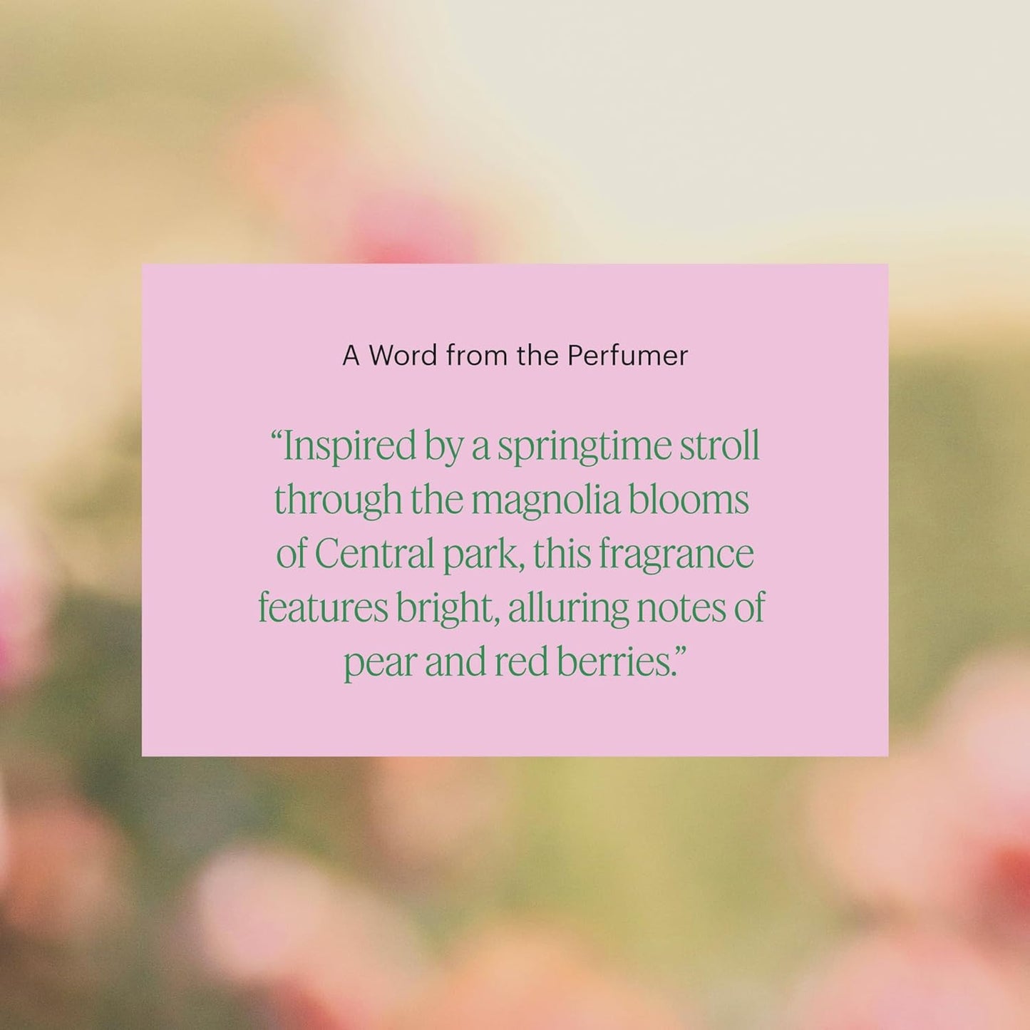 Aera Mini Curiosity - Essential Oil for Home - Pear and Redberries Fragrance - Notes of Magnolia, Lotus Flower and Citrus - Scent Refill - Capsule Size Works with Mini Diffuser