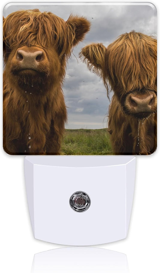 Highland Cows Night Light with Dusk to Dawn Sensor for Kid Girls Boys Women Men Room Decor, Hallway, Kitchen, Bathroom, Nursery, Stairs