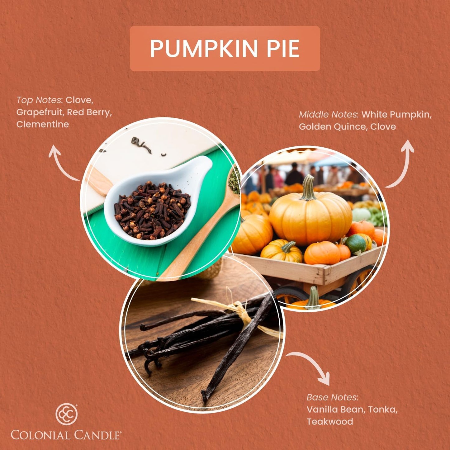 Colonial Candle Pumpkin Pie Wax Melts, Wax Melt Warmer Cubes, Long Lasting Scented Wax Warmer Cubes, 4 Pack, 6 Cubes Each - Made in The USA