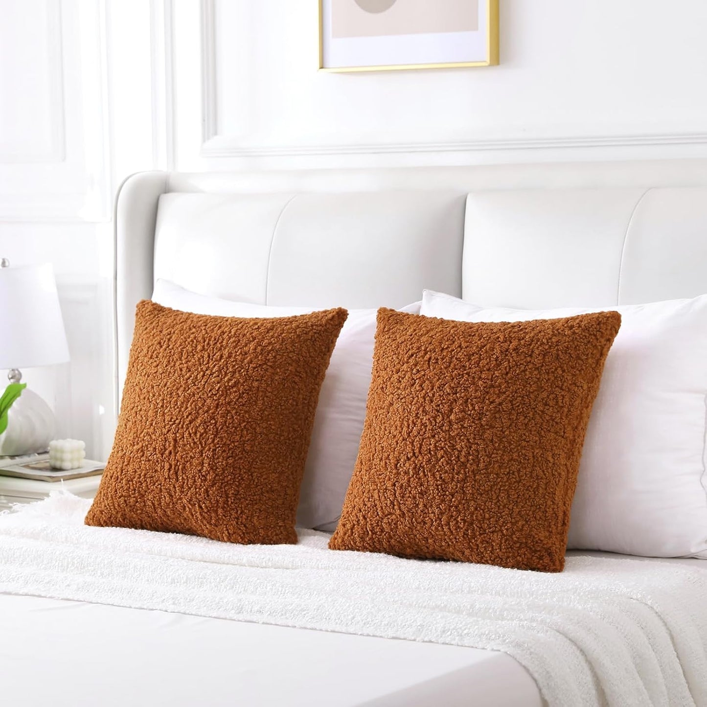 FUTEI Rust Throw Pillow Covers 18x18 Inch Set of 2,Furry Faux Fur Teddy Boucle Textured Cushion Covers,Soft Fluffy Decorative Pillow Case,Home Decor for Couch Bed Living Room Office Car