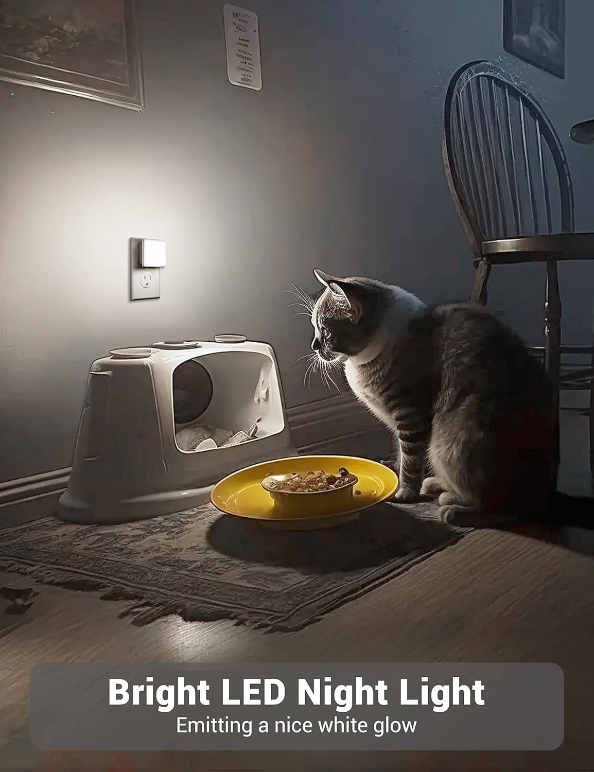 JandCase LED Night Light, Night Light Plug into Wall with Light Sensors[4 Pack], 5000K Daylight, Small Nightlight for Kids Bathroom,Hallway,Dinning Room,Kitchen