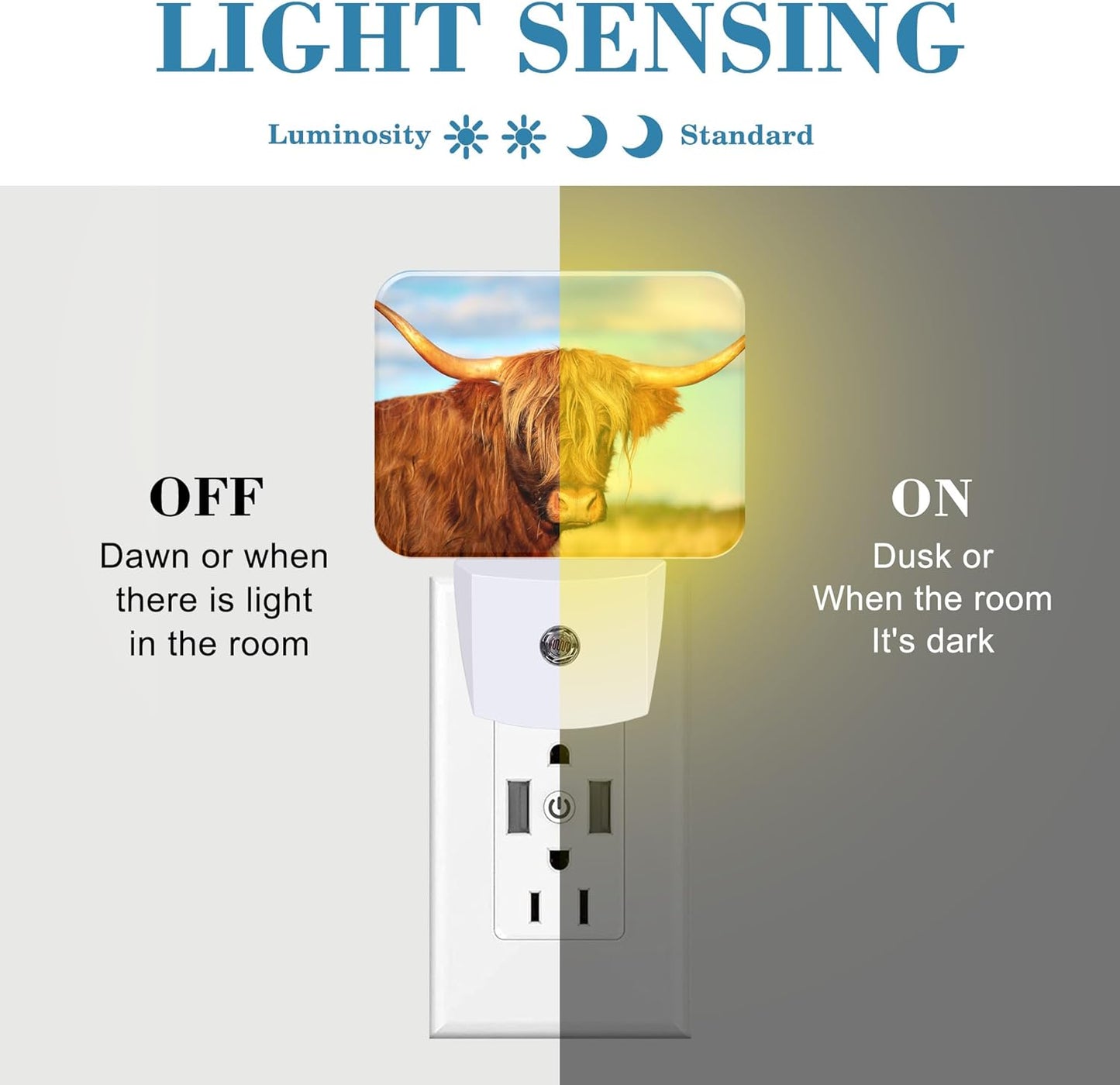 Highland Cow in Field Night Light Plug into Wall, Cool Highland Cow Night Light with Dusk to Dawn Sensor for Kid Girls Boys Women Men Bedroom, Hallway, Kitchen, Bathroom, Stairs Decor