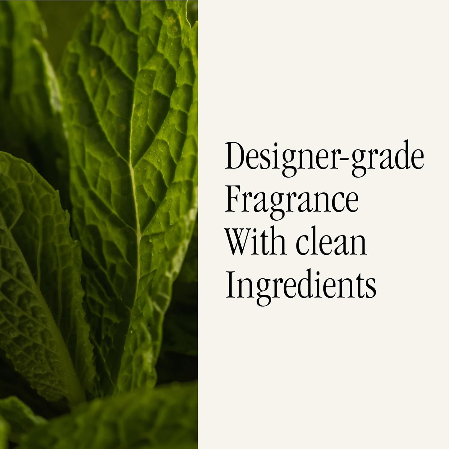 PuraHome Scent Refill - Smart Home Air Diffuser - Up to 120-Hours of Luxury Fragrance per Refill - Home Essential - Clean & Safe Diffuser Fragrance - 2 Pack, Green Tea Citrus