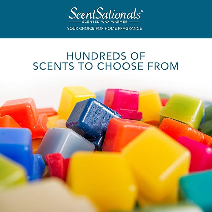 Scentsationals Wax Melts, Wax Cubes Strong Scent - Frosted Sugar Cookie - Long Lasting Scented Wax Melts for Warmer, 10oz (24-Cubes)