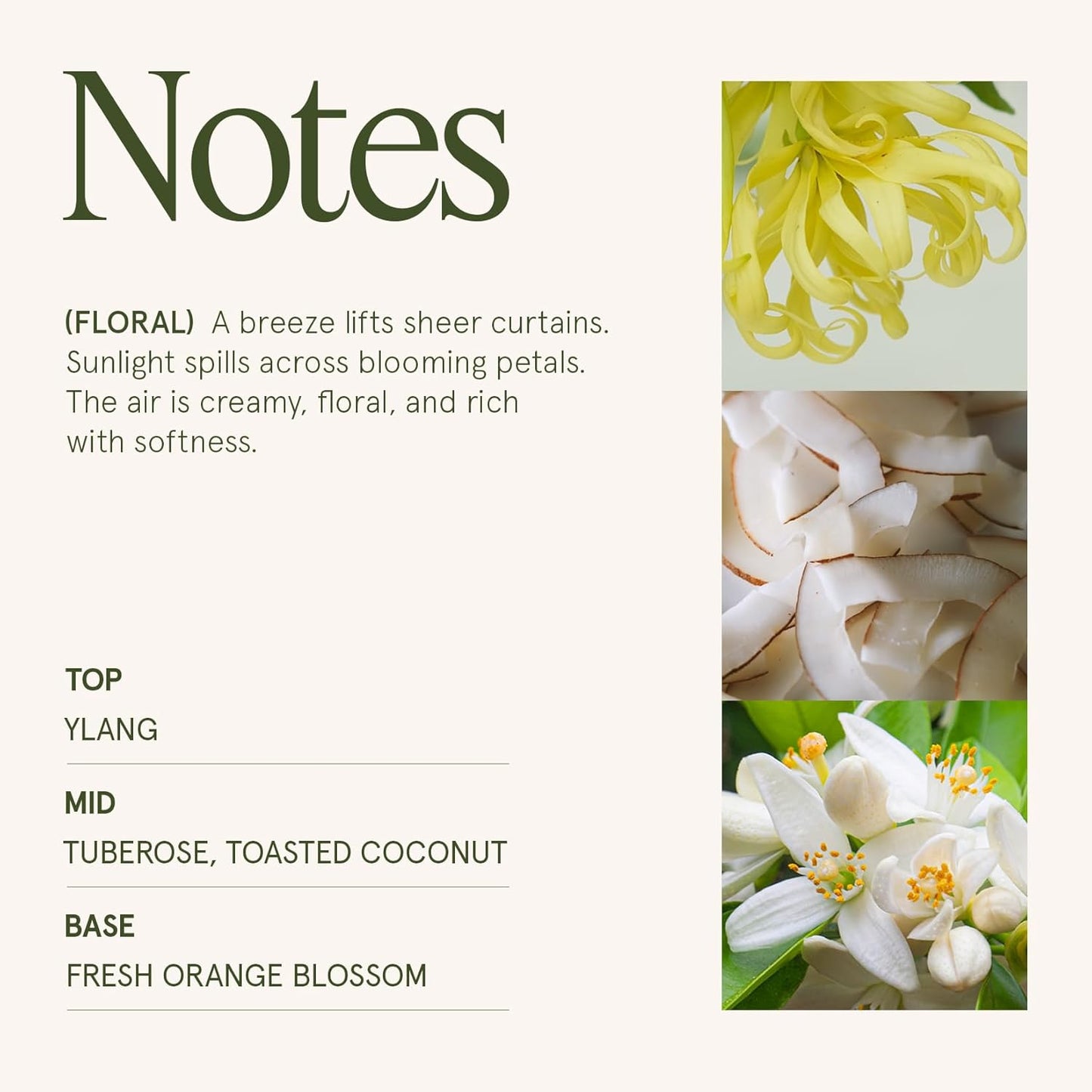 LA JOLIE MUSE Champs de Tuberose Scented Candle - Ylang, Tuberose, Orange Blossom | 10 oz Natural Soy Wax | 55 Hours Clean Burn | Floral Scented Candle | Gift-Ready for Hosts & Gatherings