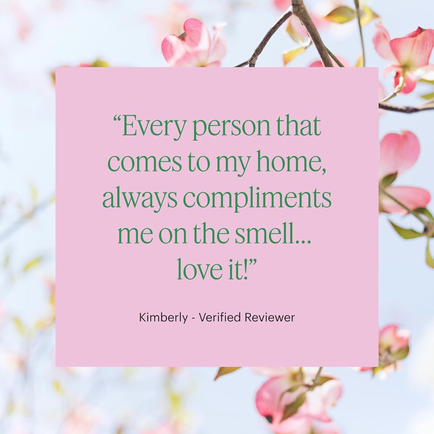 Aera Mini Curiosity - Essential Oil for Home - Pear and Redberries Fragrance - Notes of Magnolia, Lotus Flower and Citrus - Scent Refill - Capsule Size Works with Mini Diffuser