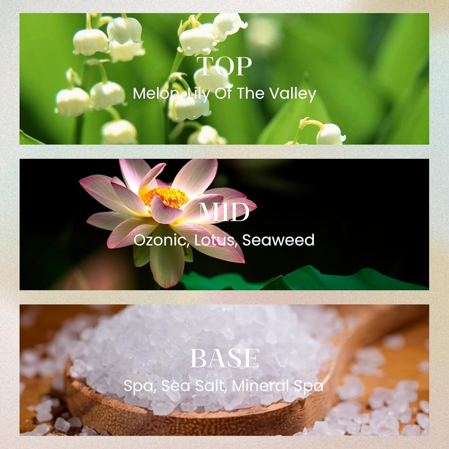 M&SENSE 6.3 oz Large Reed Diffuser Set | Ocean Escape Scent Oil Diffuser with Sticks | Hotel Collection Non-Toxic Essential Oil |for Bedroom Bathroom Living Room