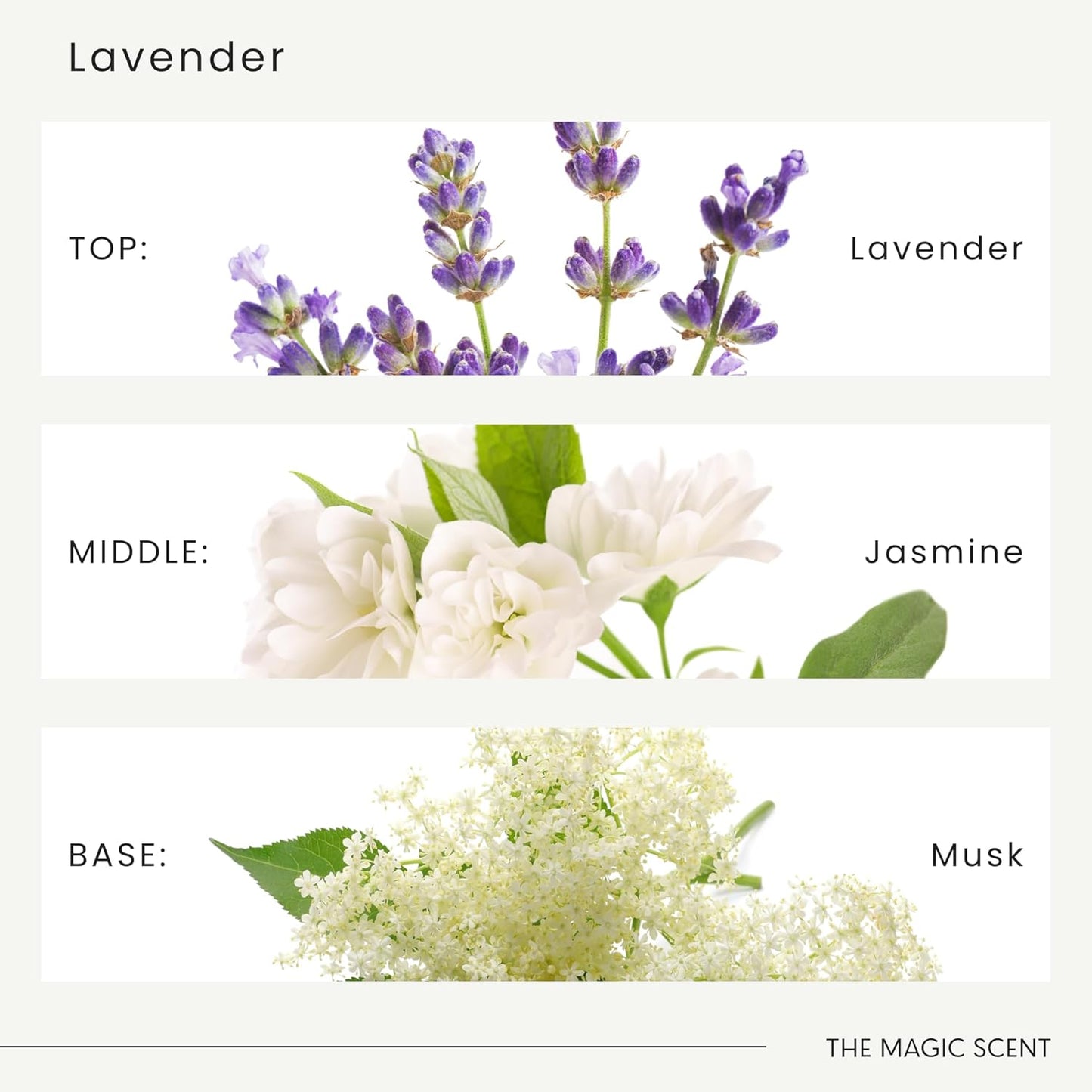 Lavender Reed Diffuser - Luxury Decorative Scent Diffusers for Home with Premium Fiber Reeds for Lasting Gentle Dispersal - Natural, Toxin-Free Aroma Oil Diffuser Sticks