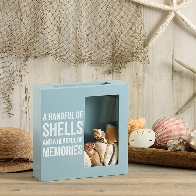 Primitives by Kathy Seashell Holder - Coastal Decor, Glass Display, Treasure Chest, Room and Bedroom Decor