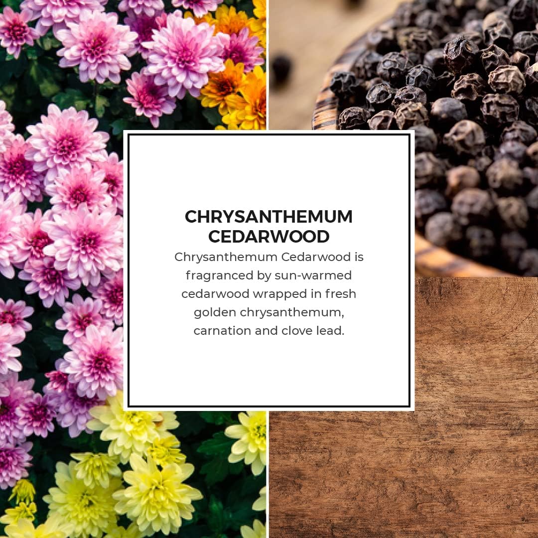 PartyLite Chrysanthemum Cedarwood Scent Plus® Wax Melts – Sun-Warmed Cedarwood, Fresh Chrysanthemum, Clove & Carnation, Long-Lasting Home Fragrance