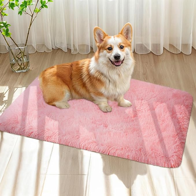 Pink Fluffy Area Rug for Girls Bedroom, 2x3 Shaggy Carpet for Kids Playroom, Nursery, Teen Living Room, Thick Fuzzy Plush for Dorm, Cute Room Decor for Baby