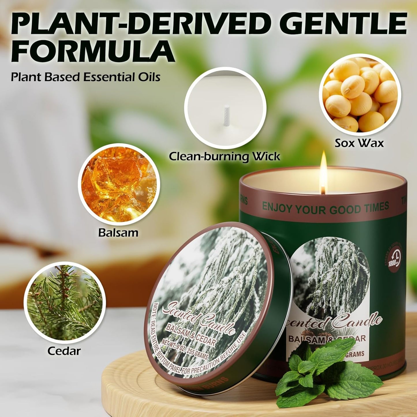 Balsam & Cedar Scented Candle Set | 2 Pack 510g 8% Essential Oils Long-Lasting 60H Burn | Pure Soy Wax Clean-Burning Smoke-Free | Aromatherapy Tin Jar Candles | Colorful Packaging Gift for Men&Women