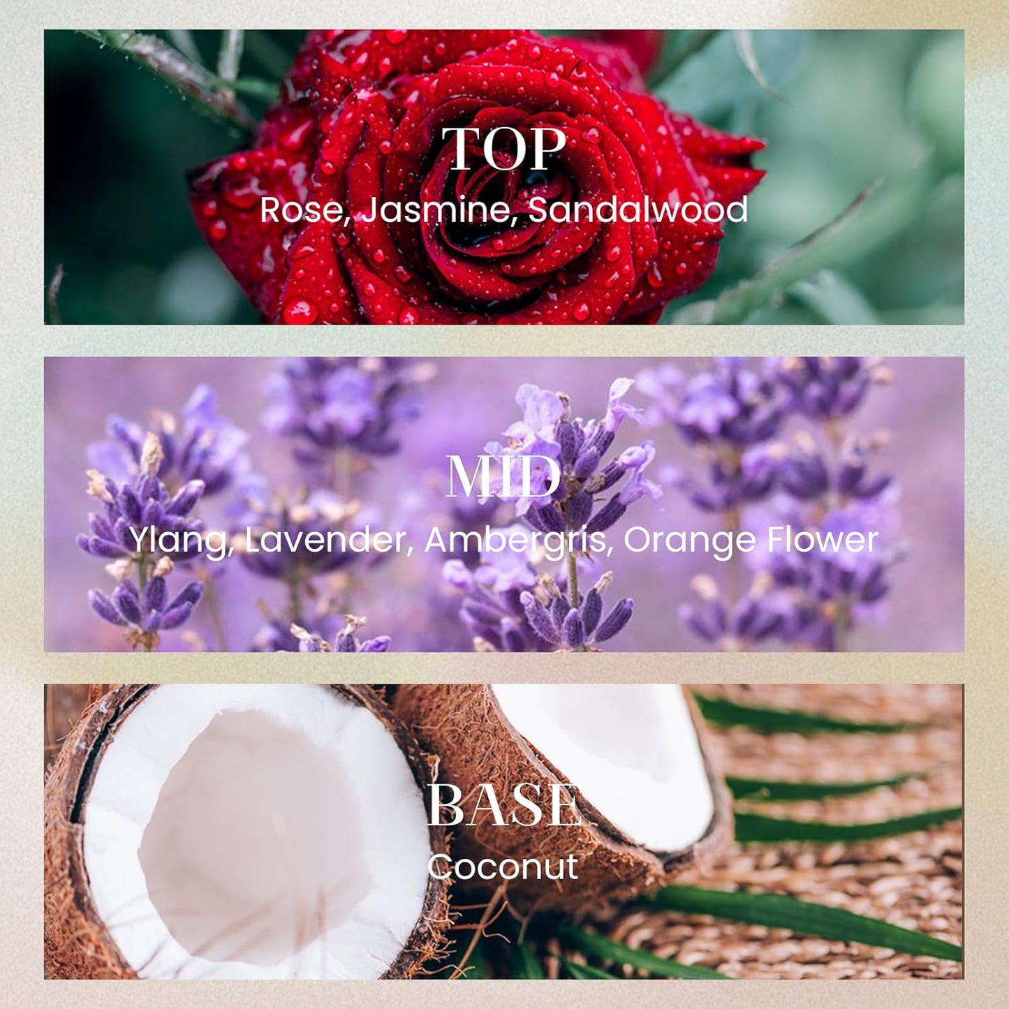 M&SENSE 6.3 oz Large Reed Diffuser Set | Oud Wood Scent Oil Diffuser with Sticks | Hotel Collection Non-Toxic Essential Oil |for Bedroom Bathroom Living Room