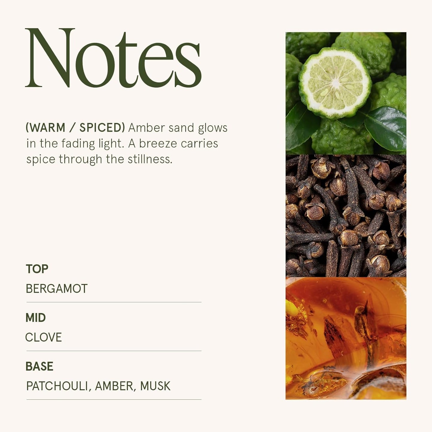 LA JOLIE MUSE Fall Candle | Sahara Amber Candles – Bergamot, Clove & Amber | 10 oz Soy Candle | Natural Soy Wax | 55 Hours Clean Burn | Gift-Ready for Cozy Nights | Elevated Fall Décor