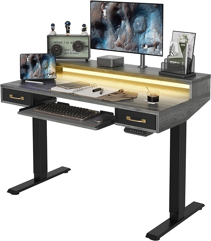 FEZIBO 48 x 24 Inch Height Adjustable Electric Standing Desk with Double Drawers&Keyboard Tray, Stand Up Desk with LED Strips&Monitor Stand,Rustic Grey Top