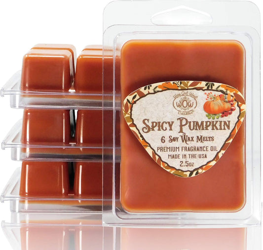 Scented Wax Melts - Highly Fragrant Air Freshener - 4 Pack Set of 6 Melt Cubes (4, Spicy Pumpkin)